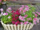 Planter