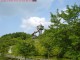 Tower