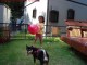 Ball