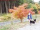 Momiji