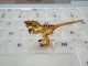 Zaurus