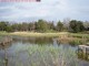 Biotope