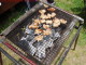 Chikin