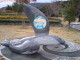 Kujira