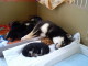 Sleeping