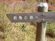 Yacho no Mori