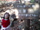 Wanpaku Toride