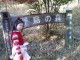 Yacho no Mori