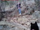 Rock