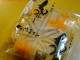 Momiji