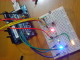 RGBY