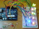 LEDs