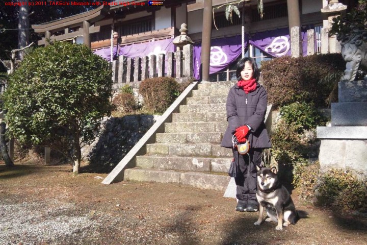 ̼�ȸ��ȶ��ο��Ҥ˽��