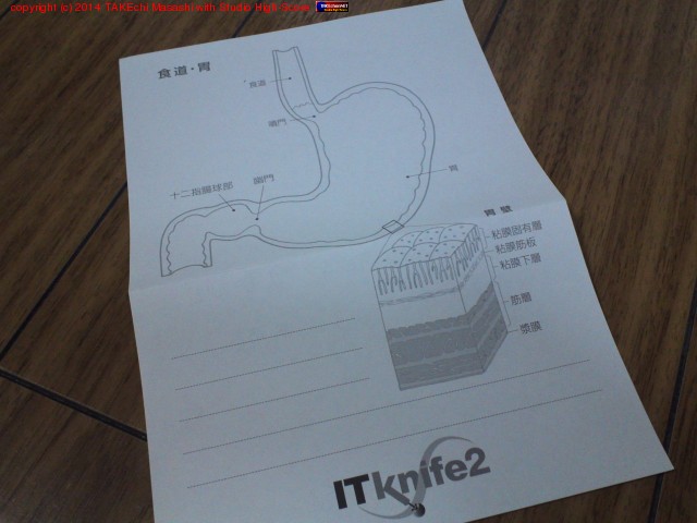 ����ؤ����äƤ���������΢¦������ʥ���ѻ椬��������