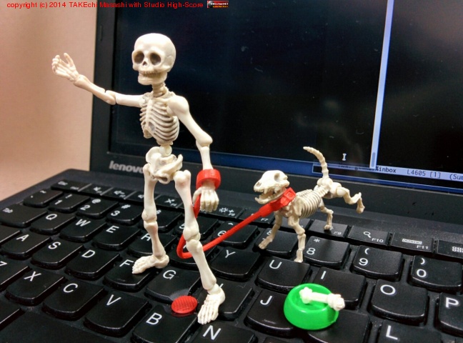 ۤͤۤͤʥե奢ư㤤Ĺ! #poseskeleton