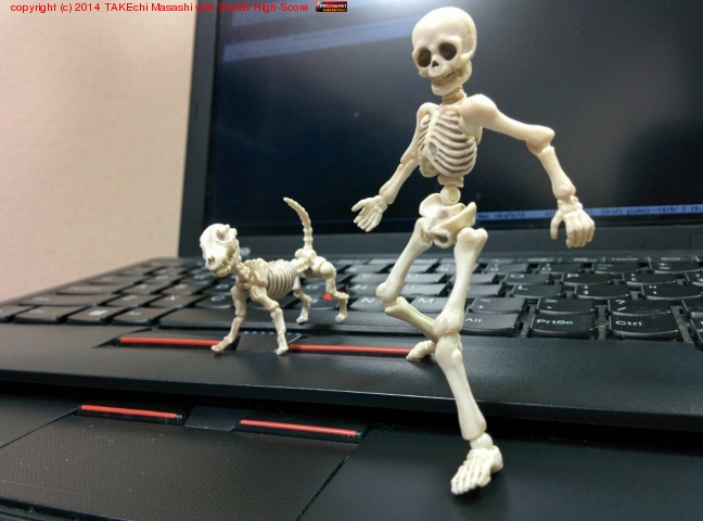 㥷㡼󤬤ͤï!? ηݡ񤷤#poseskeleton