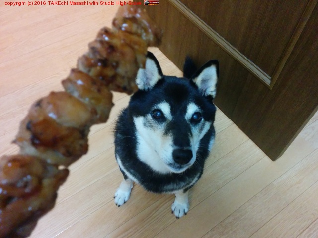 �����Ρ֤��ξƤ�Ļ�櫓�Ƥ���!�׸� //�Ԥ�! �ϻ������蘆�ʤ� :)