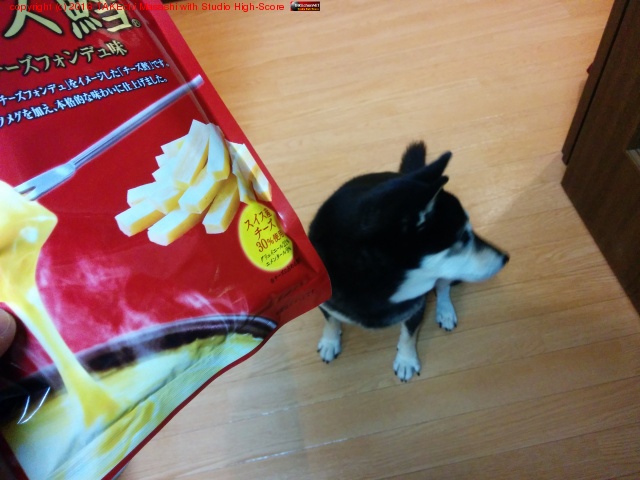 ������í! �������ߤ������Ρ��Ԥơɤ��ܤ��蘆�ʤ���