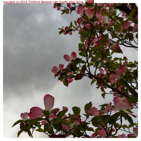 ��ŷ����