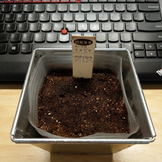 ��������򼬤������ޤ���ϽФƤ��ʤ��� #���ä���