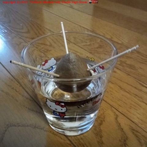 ���ܥ��ɺ�ĩ��