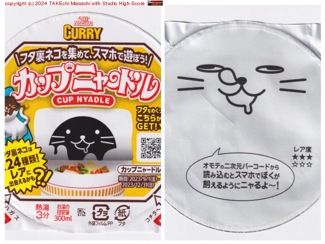 ������󥰥��ȥå����촹�����饫�åץ˥㡼�ɥ���ä���