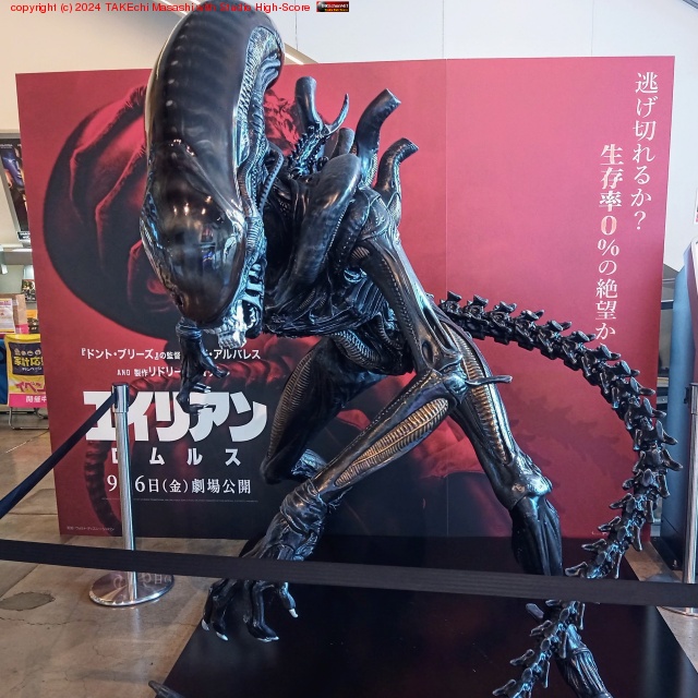 �����ꥢ��:����륹���ѤƤ�����