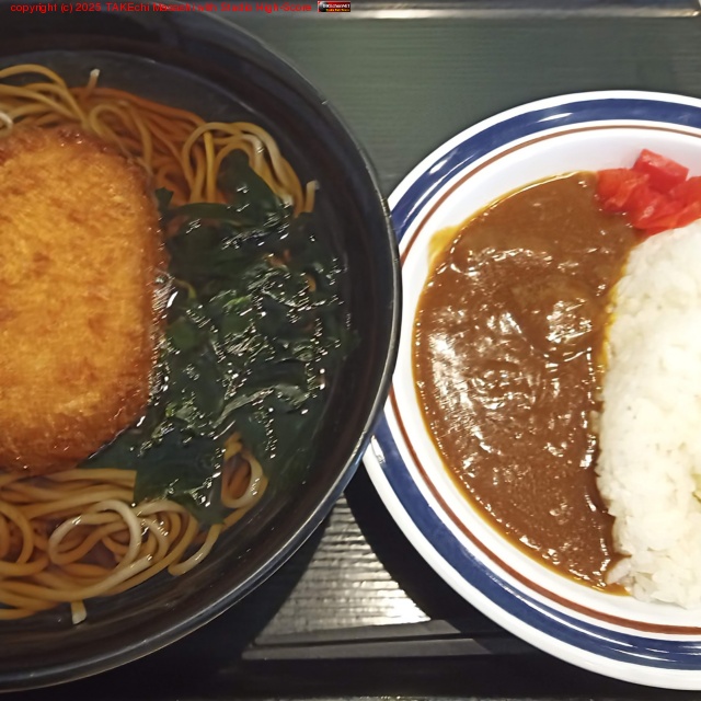 餬(?)ٻΤФǥߥ˥졼å+åȥåԥ